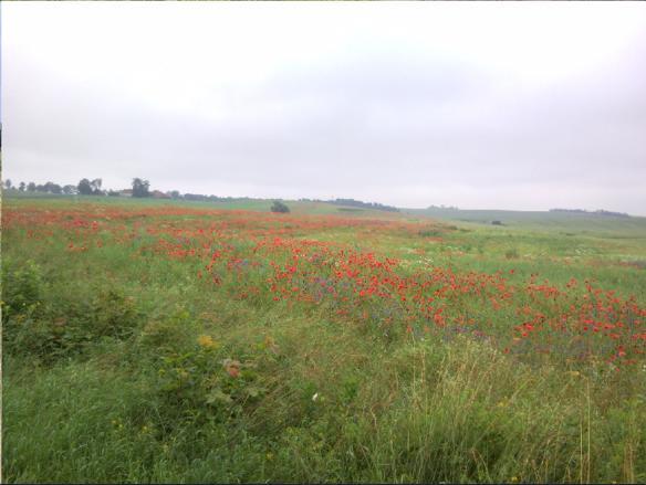 Villa Fajne Miejsce Jeziorany Esterno foto
